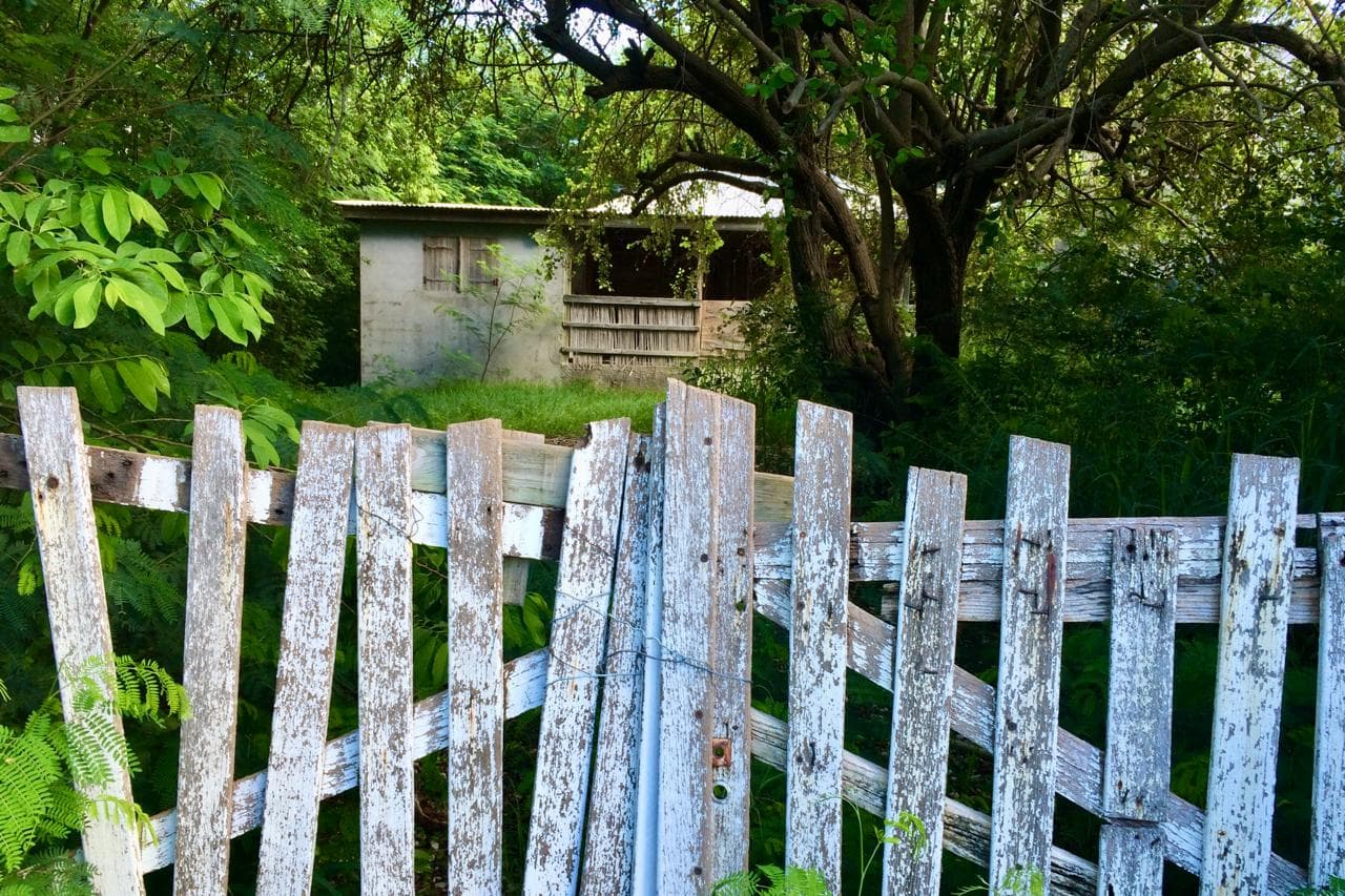 Expertise judiciaire